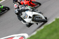 anglesey;brands-hatch;cadwell-park;croft;donington-park;enduro-digital-images;event-digital-images;eventdigitalimages;mallory;no-limits;oulton-park;peter-wileman-photography;racing-digital-images;silverstone;snetterton;trackday-digital-images;trackday-photos;vmcc-banbury-run;welsh-2-day-enduro