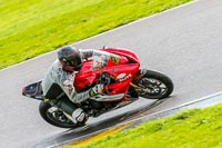 PJ-Motorsport-Photography-2018;anglesey-no-limits-trackday;anglesey-photographs;anglesey-trackday-photographs;enduro-digital-images;event-digital-images;eventdigitalimages;no-limits-trackdays;peter-wileman-photography;racing-digital-images;trac-mon;trackday-digital-images;trackday-photos;ty-croes