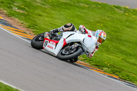 PJ-Motorsport-Photography-2018;anglesey-no-limits-trackday;anglesey-photographs;anglesey-trackday-photographs;enduro-digital-images;event-digital-images;eventdigitalimages;no-limits-trackdays;peter-wileman-photography;racing-digital-images;trac-mon;trackday-digital-images;trackday-photos;ty-croes