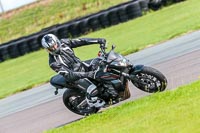 PJ-Motorsport-Photography-2018;anglesey-no-limits-trackday;anglesey-photographs;anglesey-trackday-photographs;enduro-digital-images;event-digital-images;eventdigitalimages;no-limits-trackdays;peter-wileman-photography;racing-digital-images;trac-mon;trackday-digital-images;trackday-photos;ty-croes