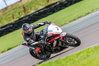 PJ-Motorsport-Photography-2018;anglesey-no-limits-trackday;anglesey-photographs;anglesey-trackday-photographs;enduro-digital-images;event-digital-images;eventdigitalimages;no-limits-trackdays;peter-wileman-photography;racing-digital-images;trac-mon;trackday-digital-images;trackday-photos;ty-croes