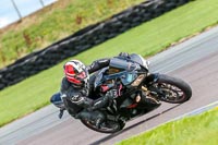 PJ-Motorsport-Photography-2018;anglesey-no-limits-trackday;anglesey-photographs;anglesey-trackday-photographs;enduro-digital-images;event-digital-images;eventdigitalimages;no-limits-trackdays;peter-wileman-photography;racing-digital-images;trac-mon;trackday-digital-images;trackday-photos;ty-croes