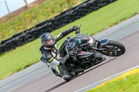 PJ-Motorsport-Photography-2018;anglesey-no-limits-trackday;anglesey-photographs;anglesey-trackday-photographs;enduro-digital-images;event-digital-images;eventdigitalimages;no-limits-trackdays;peter-wileman-photography;racing-digital-images;trac-mon;trackday-digital-images;trackday-photos;ty-croes