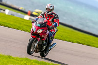 PJ-Motorsport-Photography-2018;anglesey-no-limits-trackday;anglesey-photographs;anglesey-trackday-photographs;enduro-digital-images;event-digital-images;eventdigitalimages;no-limits-trackdays;peter-wileman-photography;racing-digital-images;trac-mon;trackday-digital-images;trackday-photos;ty-croes