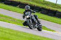 Lower Group Silver/Grey Bikes