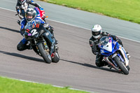 Middle Group Black Bikes
