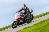 PJ-Motorsport;anglesey-no-limits-trackday;anglesey-photographs;anglesey-trackday-photographs;enduro-digital-images;event-digital-images;eventdigitalimages;no-limits-trackdays;peter-wileman-photography;racing-digital-images;trac-mon;trackday-digital-images;trackday-photos;ty-croes