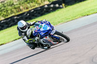 PJ-Motorsport;anglesey-no-limits-trackday;anglesey-photographs;anglesey-trackday-photographs;enduro-digital-images;event-digital-images;eventdigitalimages;no-limits-trackdays;peter-wileman-photography;racing-digital-images;trac-mon;trackday-digital-images;trackday-photos;ty-croes