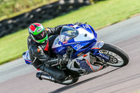 PJ-Motorsport;anglesey-no-limits-trackday;anglesey-photographs;anglesey-trackday-photographs;enduro-digital-images;event-digital-images;eventdigitalimages;no-limits-trackdays;peter-wileman-photography;racing-digital-images;trac-mon;trackday-digital-images;trackday-photos;ty-croes