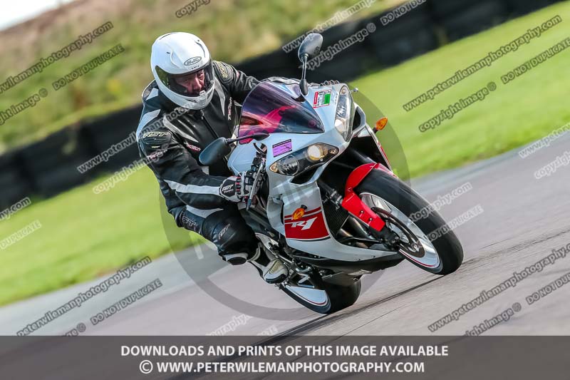 PJ Motorsport;anglesey no limits trackday;anglesey photographs;anglesey trackday photographs;enduro digital images;event digital images;eventdigitalimages;no limits trackdays;peter wileman photography;racing digital images;trac mon;trackday digital images;trackday photos;ty croes