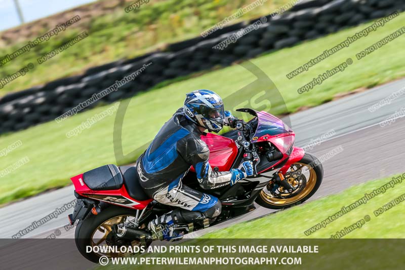 PJ Motorsport;anglesey no limits trackday;anglesey photographs;anglesey trackday photographs;enduro digital images;event digital images;eventdigitalimages;no limits trackdays;peter wileman photography;racing digital images;trac mon;trackday digital images;trackday photos;ty croes