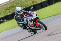 PJ-Motorsport;anglesey-no-limits-trackday;anglesey-photographs;anglesey-trackday-photographs;enduro-digital-images;event-digital-images;eventdigitalimages;no-limits-trackdays;peter-wileman-photography;racing-digital-images;trac-mon;trackday-digital-images;trackday-photos;ty-croes