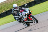 PJ-Motorsport;anglesey-no-limits-trackday;anglesey-photographs;anglesey-trackday-photographs;enduro-digital-images;event-digital-images;eventdigitalimages;no-limits-trackdays;peter-wileman-photography;racing-digital-images;trac-mon;trackday-digital-images;trackday-photos;ty-croes
