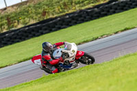 PJ-Motorsport;anglesey-no-limits-trackday;anglesey-photographs;anglesey-trackday-photographs;enduro-digital-images;event-digital-images;eventdigitalimages;no-limits-trackdays;peter-wileman-photography;racing-digital-images;trac-mon;trackday-digital-images;trackday-photos;ty-croes