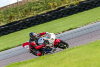 PJ-Motorsport;anglesey-no-limits-trackday;anglesey-photographs;anglesey-trackday-photographs;enduro-digital-images;event-digital-images;eventdigitalimages;no-limits-trackdays;peter-wileman-photography;racing-digital-images;trac-mon;trackday-digital-images;trackday-photos;ty-croes