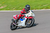 PJ-Motorsport;anglesey-no-limits-trackday;anglesey-photographs;anglesey-trackday-photographs;enduro-digital-images;event-digital-images;eventdigitalimages;no-limits-trackdays;peter-wileman-photography;racing-digital-images;trac-mon;trackday-digital-images;trackday-photos;ty-croes