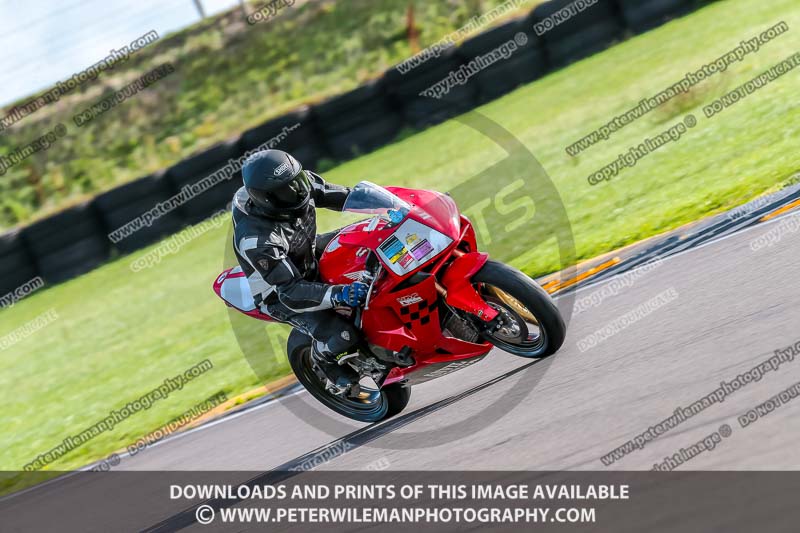 PJ Motorsport;anglesey no limits trackday;anglesey photographs;anglesey trackday photographs;enduro digital images;event digital images;eventdigitalimages;no limits trackdays;peter wileman photography;racing digital images;trac mon;trackday digital images;trackday photos;ty croes
