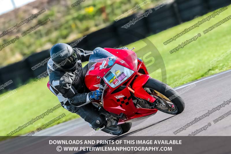 PJ Motorsport;anglesey no limits trackday;anglesey photographs;anglesey trackday photographs;enduro digital images;event digital images;eventdigitalimages;no limits trackdays;peter wileman photography;racing digital images;trac mon;trackday digital images;trackday photos;ty croes