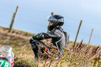 PJ-Motorsport;anglesey-no-limits-trackday;anglesey-photographs;anglesey-trackday-photographs;enduro-digital-images;event-digital-images;eventdigitalimages;no-limits-trackdays;peter-wileman-photography;racing-digital-images;trac-mon;trackday-digital-images;trackday-photos;ty-croes