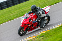 PJ-Motorsport;anglesey-no-limits-trackday;anglesey-photographs;anglesey-trackday-photographs;enduro-digital-images;event-digital-images;eventdigitalimages;no-limits-trackdays;peter-wileman-photography;racing-digital-images;trac-mon;trackday-digital-images;trackday-photos;ty-croes