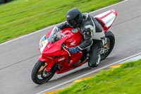 PJ-Motorsport;anglesey-no-limits-trackday;anglesey-photographs;anglesey-trackday-photographs;enduro-digital-images;event-digital-images;eventdigitalimages;no-limits-trackdays;peter-wileman-photography;racing-digital-images;trac-mon;trackday-digital-images;trackday-photos;ty-croes