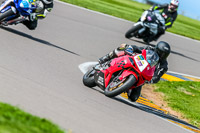 PJ-Motorsport;anglesey-no-limits-trackday;anglesey-photographs;anglesey-trackday-photographs;enduro-digital-images;event-digital-images;eventdigitalimages;no-limits-trackdays;peter-wileman-photography;racing-digital-images;trac-mon;trackday-digital-images;trackday-photos;ty-croes