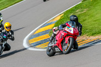 PJ-Motorsport;anglesey-no-limits-trackday;anglesey-photographs;anglesey-trackday-photographs;enduro-digital-images;event-digital-images;eventdigitalimages;no-limits-trackdays;peter-wileman-photography;racing-digital-images;trac-mon;trackday-digital-images;trackday-photos;ty-croes