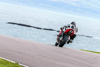 PJ-Motorsport;anglesey-no-limits-trackday;anglesey-photographs;anglesey-trackday-photographs;enduro-digital-images;event-digital-images;eventdigitalimages;no-limits-trackdays;peter-wileman-photography;racing-digital-images;trac-mon;trackday-digital-images;trackday-photos;ty-croes