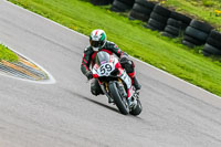 PJ-Motorsport;anglesey-no-limits-trackday;anglesey-photographs;anglesey-trackday-photographs;enduro-digital-images;event-digital-images;eventdigitalimages;no-limits-trackdays;peter-wileman-photography;racing-digital-images;trac-mon;trackday-digital-images;trackday-photos;ty-croes