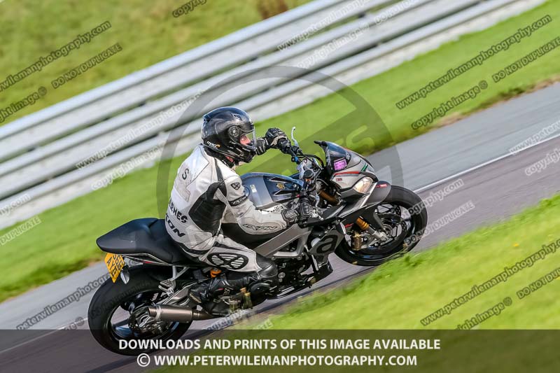 PJ Motorsport;anglesey no limits trackday;anglesey photographs;anglesey trackday photographs;enduro digital images;event digital images;eventdigitalimages;no limits trackdays;peter wileman photography;racing digital images;trac mon;trackday digital images;trackday photos;ty croes