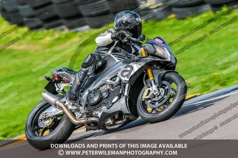 PJ Motorsport;anglesey no limits trackday;anglesey photographs;anglesey trackday photographs;enduro digital images;event digital images;eventdigitalimages;no limits trackdays;peter wileman photography;racing digital images;trac mon;trackday digital images;trackday photos;ty croes