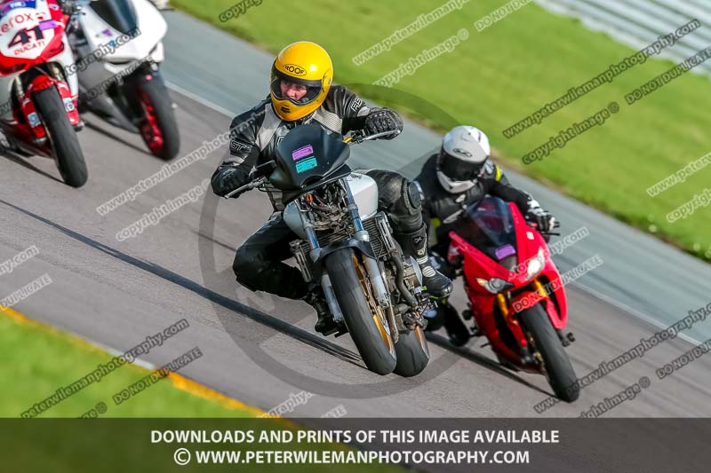 PJ Motorsport;anglesey no limits trackday;anglesey photographs;anglesey trackday photographs;enduro digital images;event digital images;eventdigitalimages;no limits trackdays;peter wileman photography;racing digital images;trac mon;trackday digital images;trackday photos;ty croes