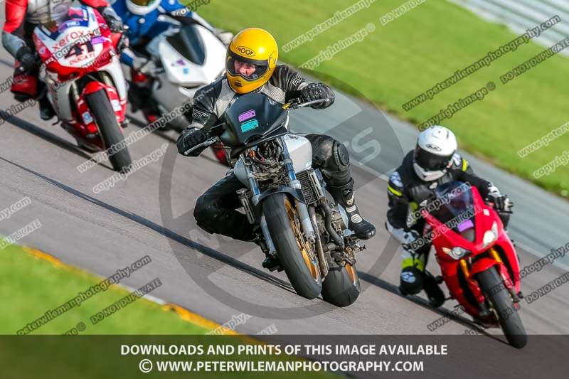 PJ Motorsport;anglesey no limits trackday;anglesey photographs;anglesey trackday photographs;enduro digital images;event digital images;eventdigitalimages;no limits trackdays;peter wileman photography;racing digital images;trac mon;trackday digital images;trackday photos;ty croes