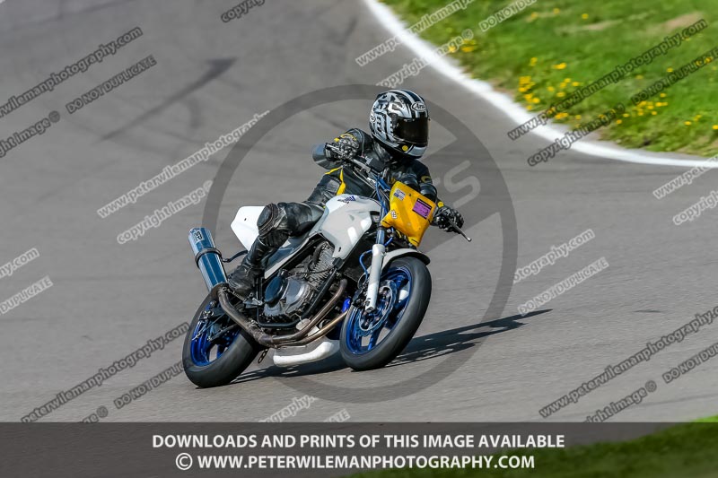 PJ Motorsport;anglesey no limits trackday;anglesey photographs;anglesey trackday photographs;enduro digital images;event digital images;eventdigitalimages;no limits trackdays;peter wileman photography;racing digital images;trac mon;trackday digital images;trackday photos;ty croes