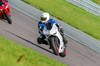 PJ-Motorsport;anglesey-no-limits-trackday;anglesey-photographs;anglesey-trackday-photographs;enduro-digital-images;event-digital-images;eventdigitalimages;no-limits-trackdays;peter-wileman-photography;racing-digital-images;trac-mon;trackday-digital-images;trackday-photos;ty-croes