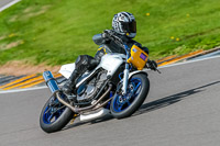 PJ-Motorsport;anglesey-no-limits-trackday;anglesey-photographs;anglesey-trackday-photographs;enduro-digital-images;event-digital-images;eventdigitalimages;no-limits-trackdays;peter-wileman-photography;racing-digital-images;trac-mon;trackday-digital-images;trackday-photos;ty-croes