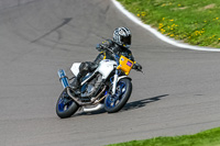 PJ-Motorsport;anglesey-no-limits-trackday;anglesey-photographs;anglesey-trackday-photographs;enduro-digital-images;event-digital-images;eventdigitalimages;no-limits-trackdays;peter-wileman-photography;racing-digital-images;trac-mon;trackday-digital-images;trackday-photos;ty-croes