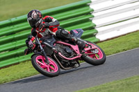 Advanced Group Black Bikes