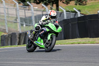 anglesey;brands-hatch;cadwell-park;croft;donington-park;enduro-digital-images;event-digital-images;eventdigitalimages;mallory;no-limits;oulton-park;peter-wileman-photography;racing-digital-images;silverstone;snetterton;trackday-digital-images;trackday-photos;vmcc-banbury-run;welsh-2-day-enduro