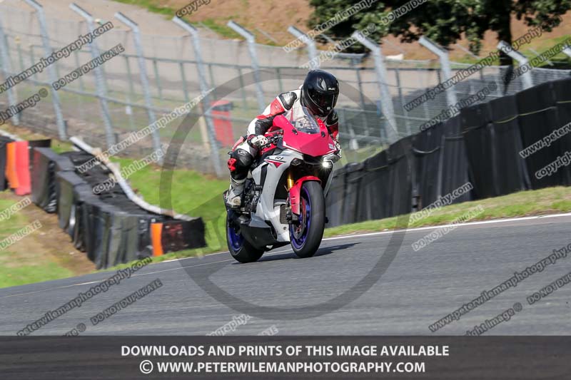 anglesey;brands hatch;cadwell park;croft;donington park;enduro digital images;event digital images;eventdigitalimages;mallory;no limits;oulton park;peter wileman photography;racing digital images;silverstone;snetterton;trackday digital images;trackday photos;vmcc banbury run;welsh 2 day enduro