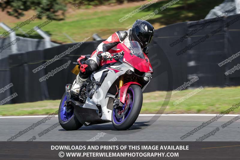 anglesey;brands hatch;cadwell park;croft;donington park;enduro digital images;event digital images;eventdigitalimages;mallory;no limits;oulton park;peter wileman photography;racing digital images;silverstone;snetterton;trackday digital images;trackday photos;vmcc banbury run;welsh 2 day enduro