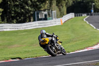 Advanced Group Yellow Bikes
