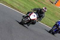 anglesey;brands-hatch;cadwell-park;croft;donington-park;enduro-digital-images;event-digital-images;eventdigitalimages;mallory;no-limits;oulton-park;peter-wileman-photography;racing-digital-images;silverstone;snetterton;trackday-digital-images;trackday-photos;vmcc-banbury-run;welsh-2-day-enduro