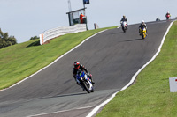 anglesey;brands-hatch;cadwell-park;croft;donington-park;enduro-digital-images;event-digital-images;eventdigitalimages;mallory;no-limits;oulton-park;peter-wileman-photography;racing-digital-images;silverstone;snetterton;trackday-digital-images;trackday-photos;vmcc-banbury-run;welsh-2-day-enduro