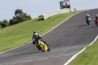 Lower Group Yellow Bikes