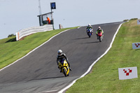 Lower Group Yellow Bikes