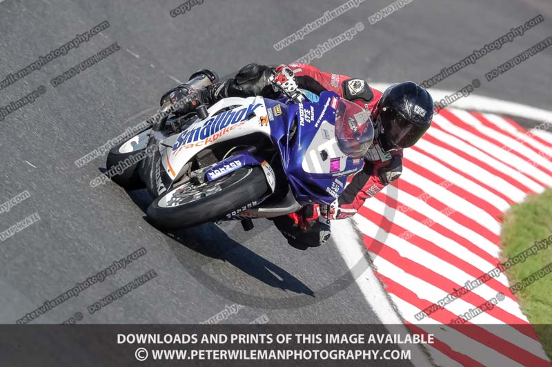 anglesey;brands hatch;cadwell park;croft;donington park;enduro digital images;event digital images;eventdigitalimages;mallory;no limits;oulton park;peter wileman photography;racing digital images;silverstone;snetterton;trackday digital images;trackday photos;vmcc banbury run;welsh 2 day enduro
