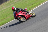Middle Group Red Bikes