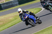 enduro-digital-images;event-digital-images;eventdigitalimages;mallory-park;mallory-park-photographs;mallory-park-trackday;mallory-park-trackday-photographs;no-limits-trackdays;peter-wileman-photography;racing-digital-images;trackday-digital-images;trackday-photos
