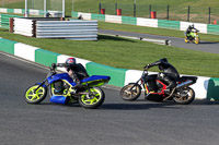 enduro-digital-images;event-digital-images;eventdigitalimages;mallory-park;mallory-park-photographs;mallory-park-trackday;mallory-park-trackday-photographs;no-limits-trackdays;peter-wileman-photography;racing-digital-images;trackday-digital-images;trackday-photos